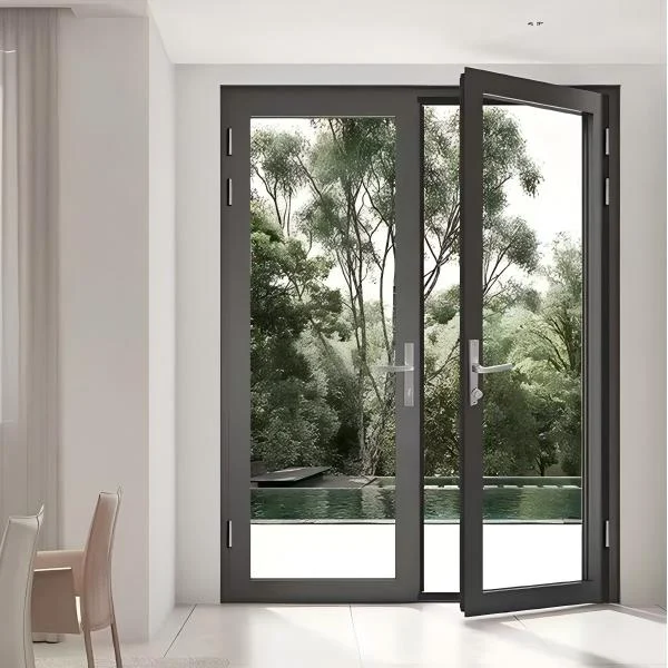 Swing Door